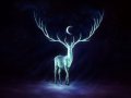 night_bringer_by_sanguisgelidus-d4kxy3c.jpg
